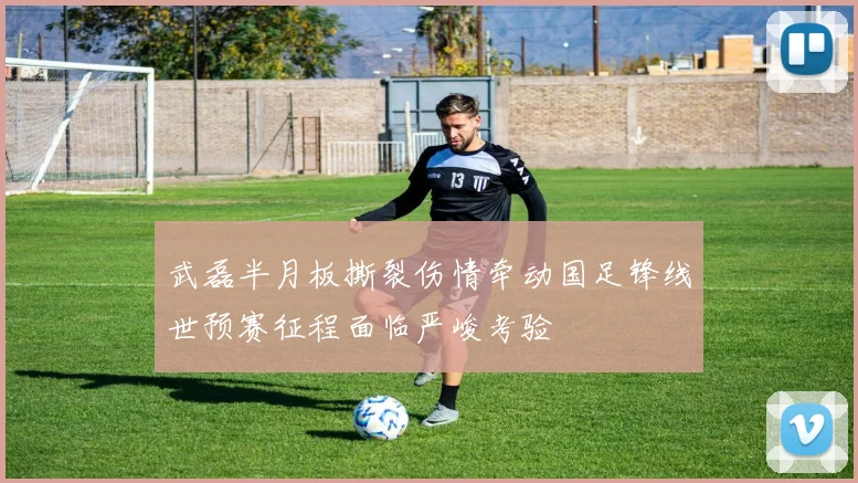 武磊半月板撕裂伤情牵动国足锋线世预赛征程面临严峻考验